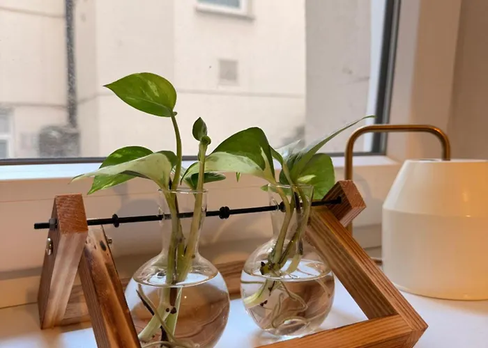 Secret Atelier In The Heart Of Διαμέρισμα